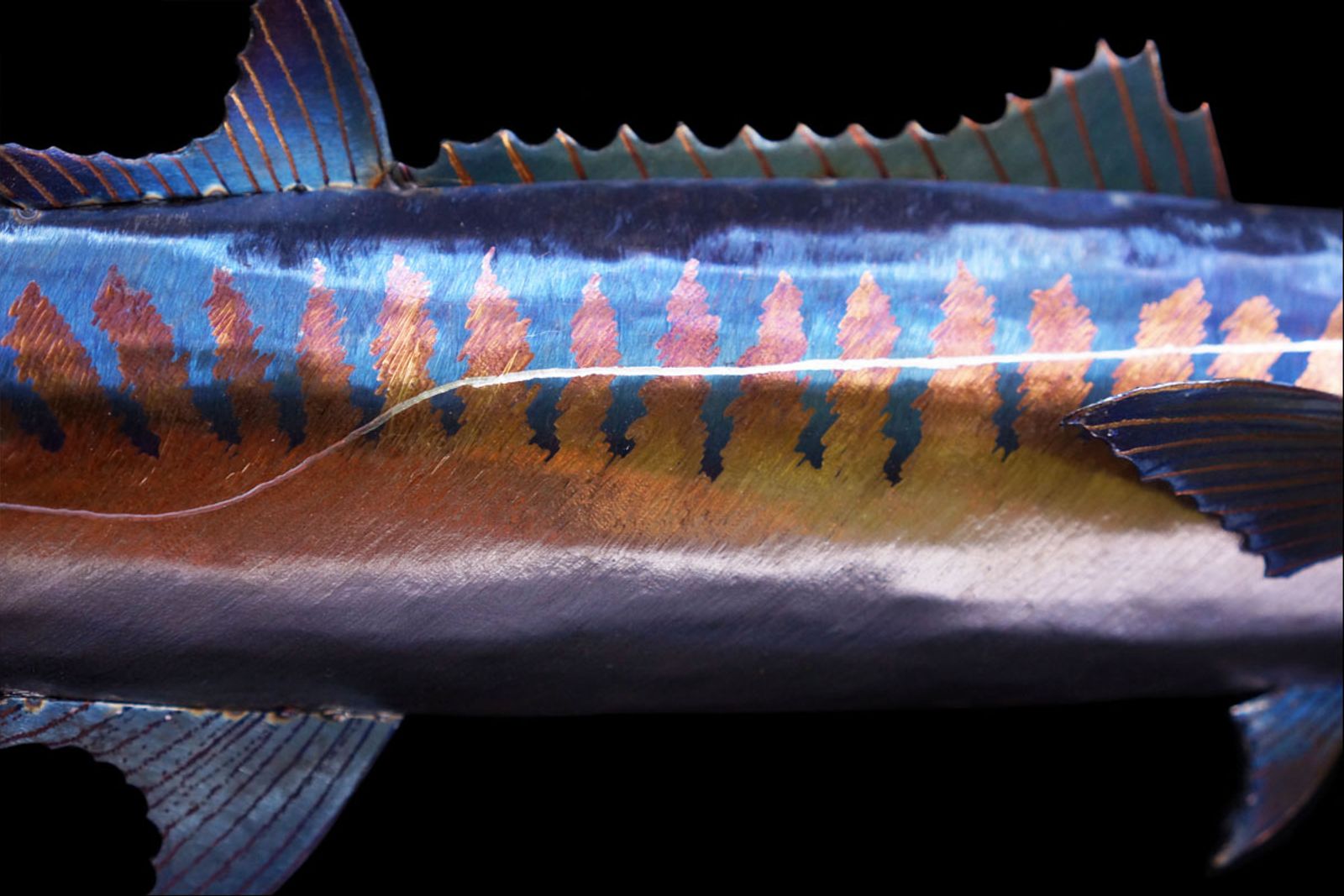 Closeup of king mackerel sculpture body.