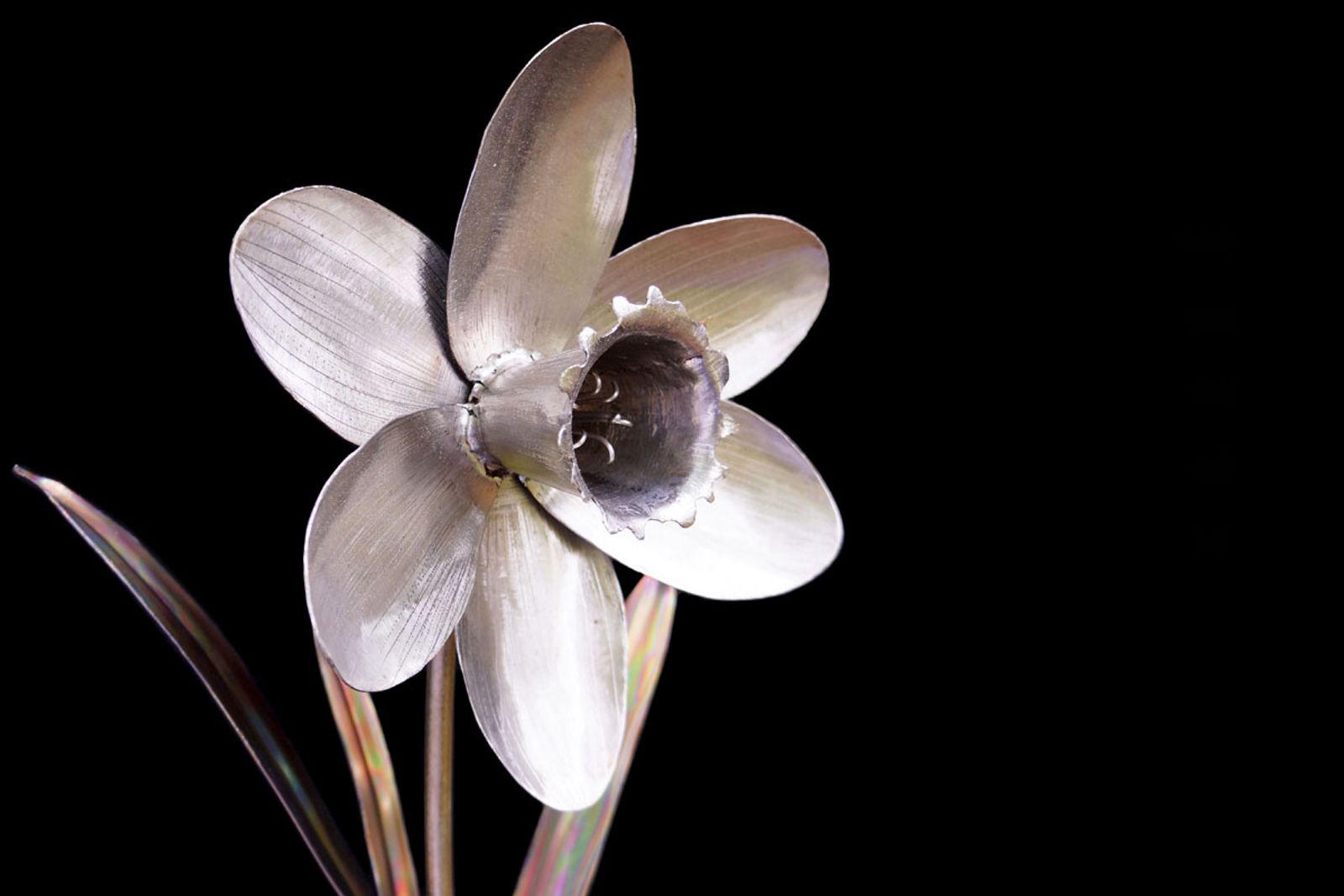 Angled close-up of the daffodil bloom in stainless steel, highlighting layered silver petals and sculpted depth.
