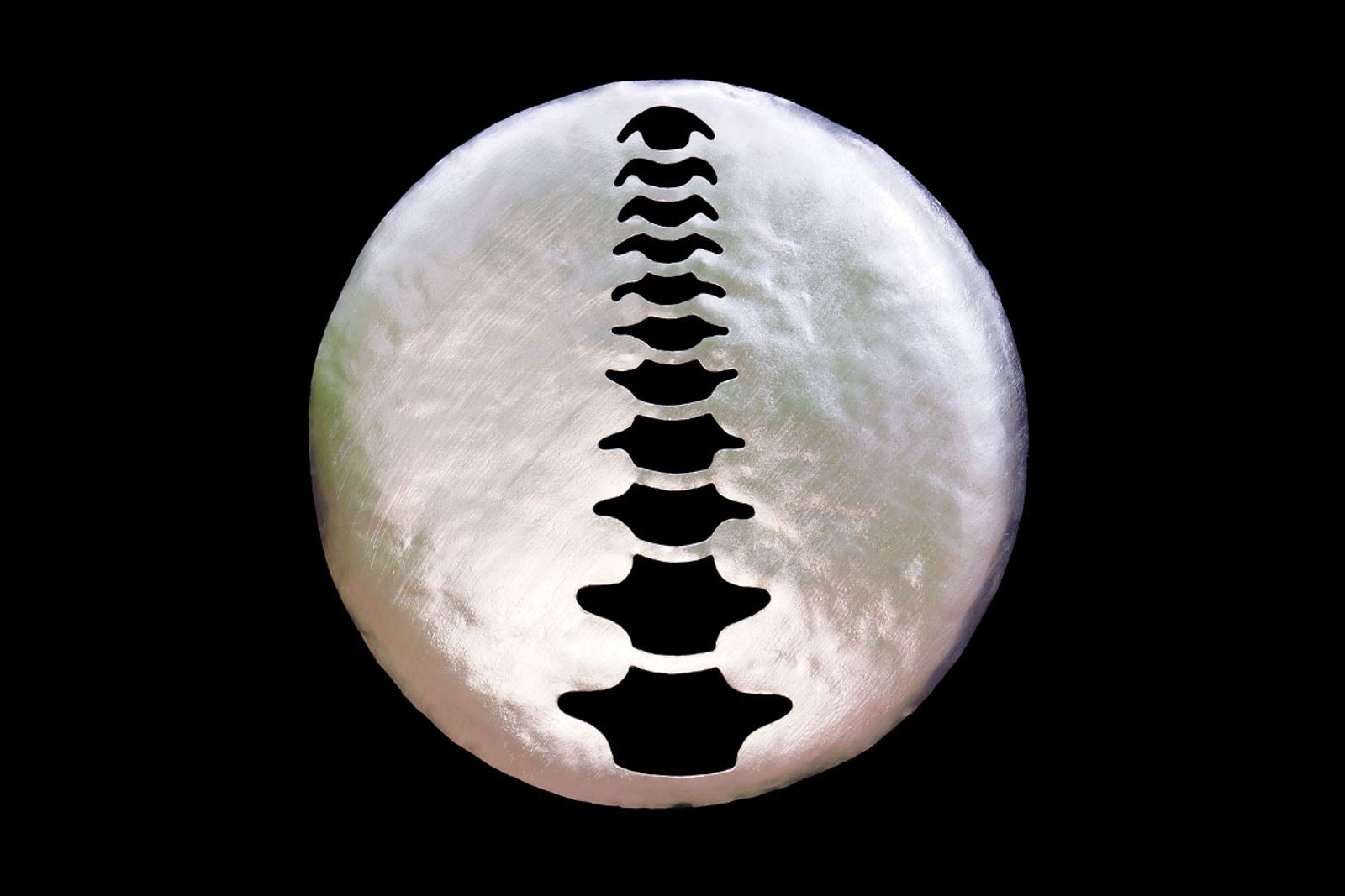 Sterling Chiropractic sign with backlight off.