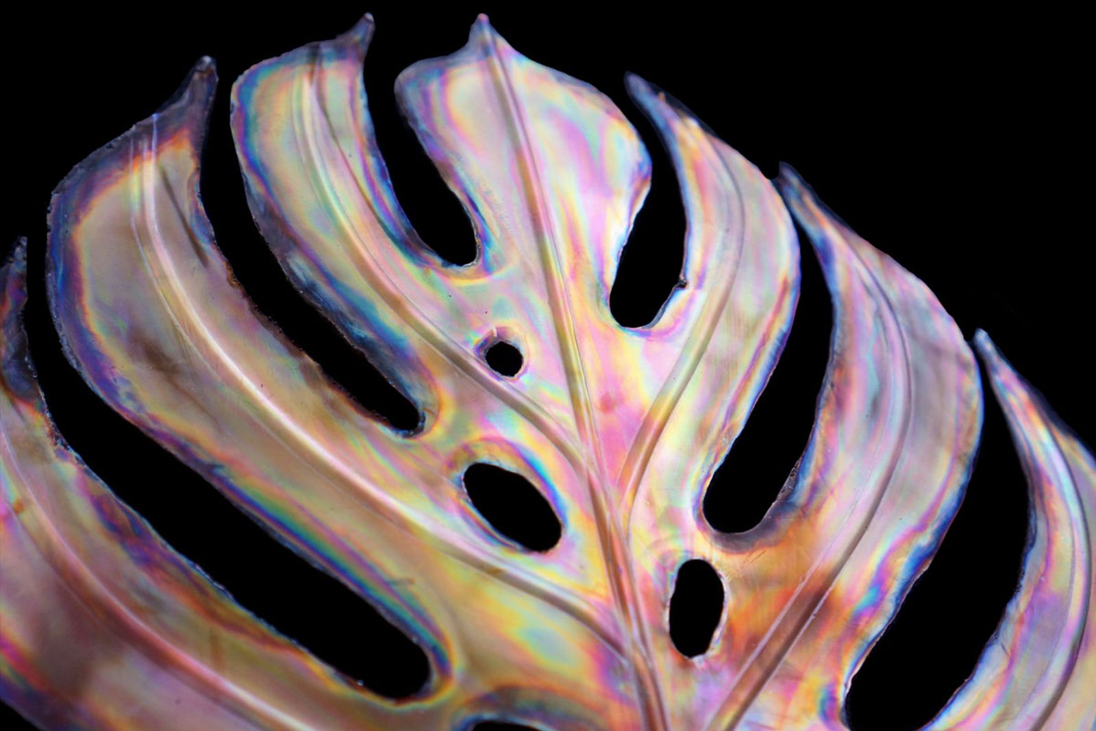 Steel monstera leaf super close up