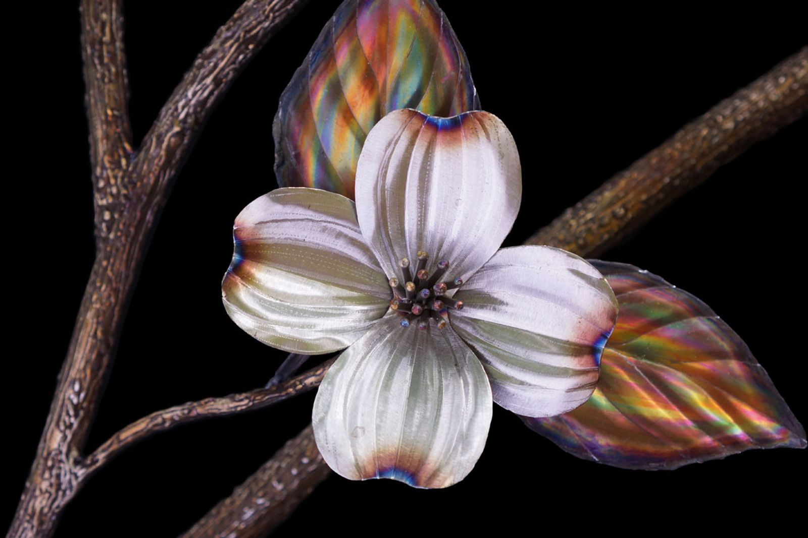 Super close up of a stainless steel dogwood flower.