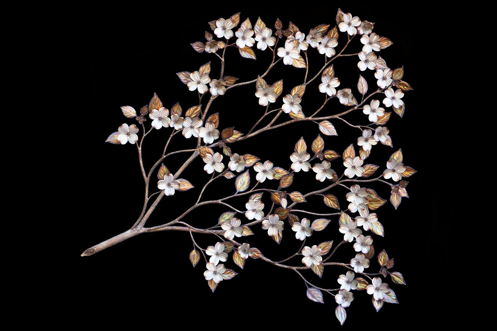 Dogwood Branch Sculpture by Aiden Dale