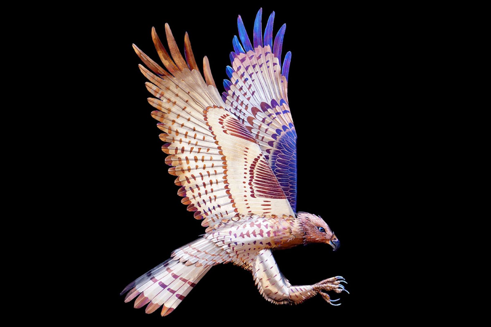 Red-Tailed Hawk Sculpture by Aiden Dale