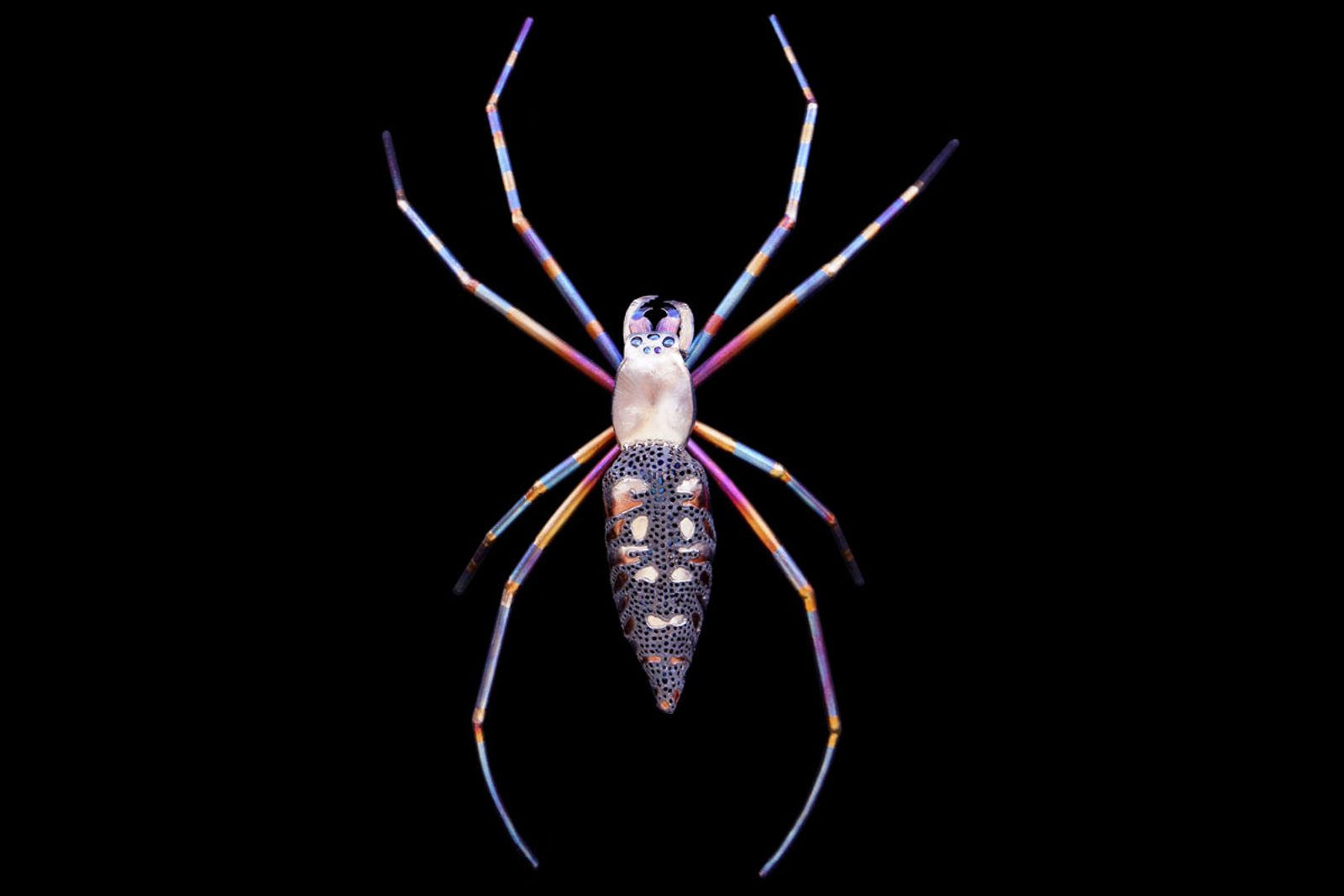 Spider Sculpture by Aiden Dale