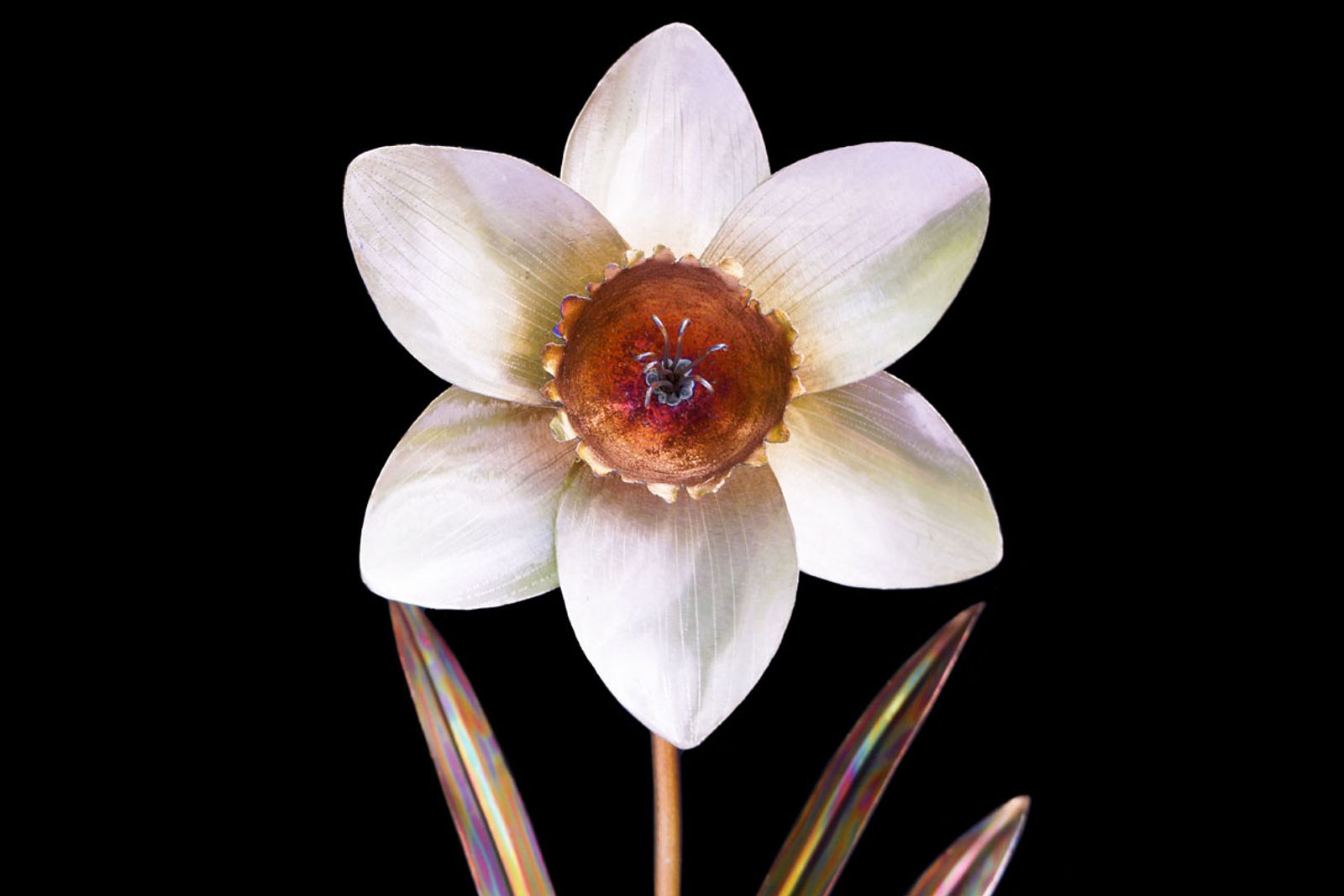 Detailed view of the daffodil bloom showing bright golden center framed by hand ground silver petals in stainless steel.