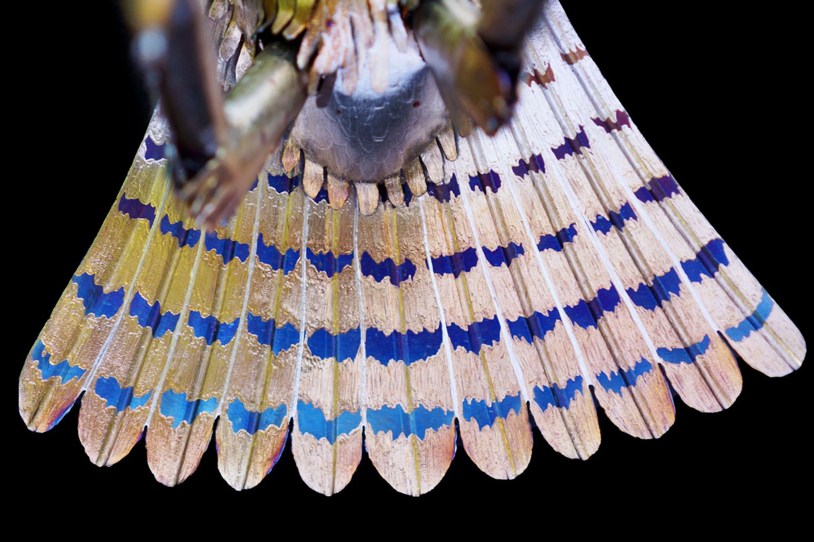 Closeup of barn owl sculpture tail detail grinding.