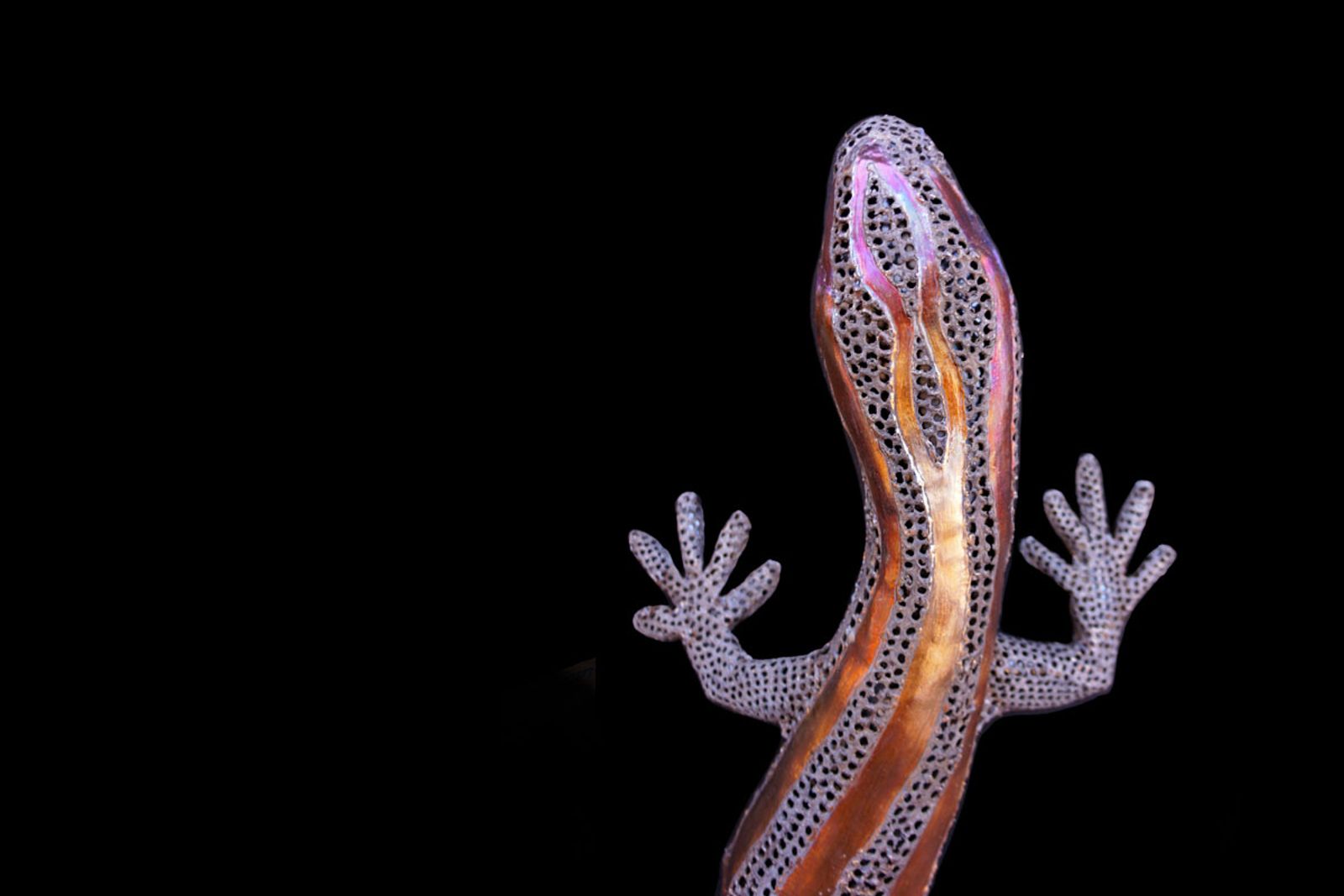 Detail of stainless steel skink sculpture showing lifelike head shape and hand-formed front arms with torch patina striping.