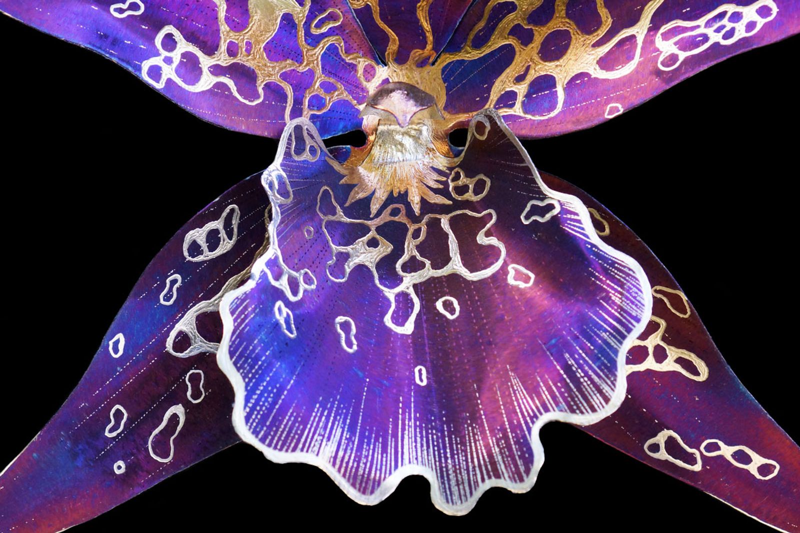 Detail shot of pacific matriarch or beallara Patricia McCully orchid sculpture.