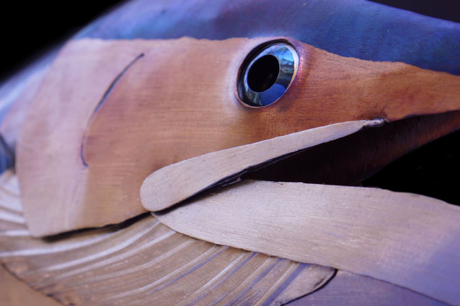 Super close up of marlin eye
