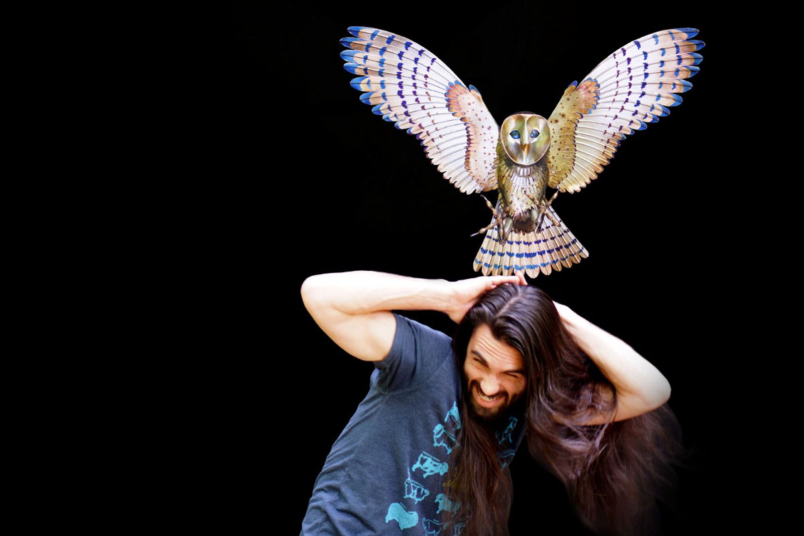 Artist Aiden Dale being attacked by his stainless steel barn owl sculpture.