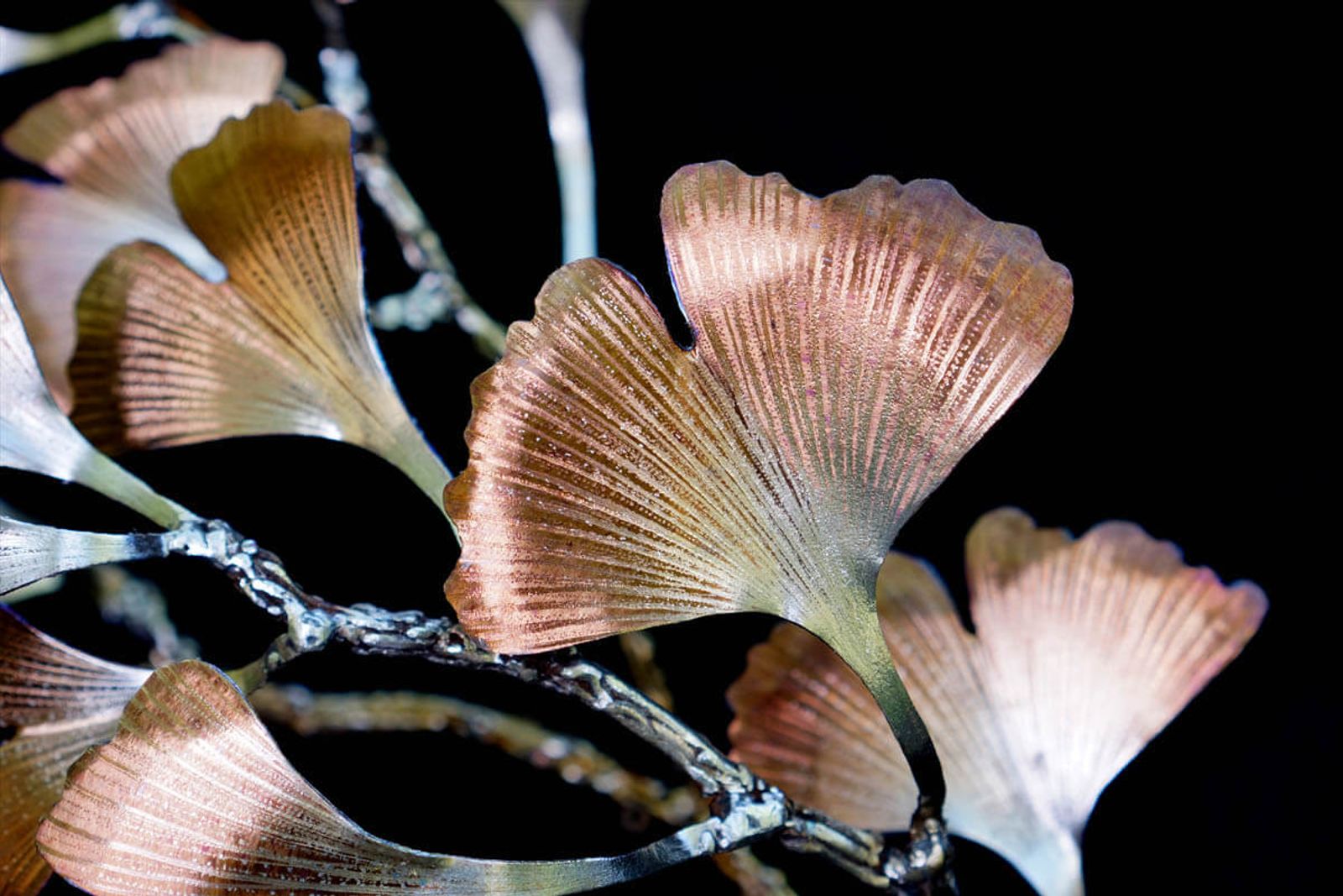Close up of ginkgo biloba leaf