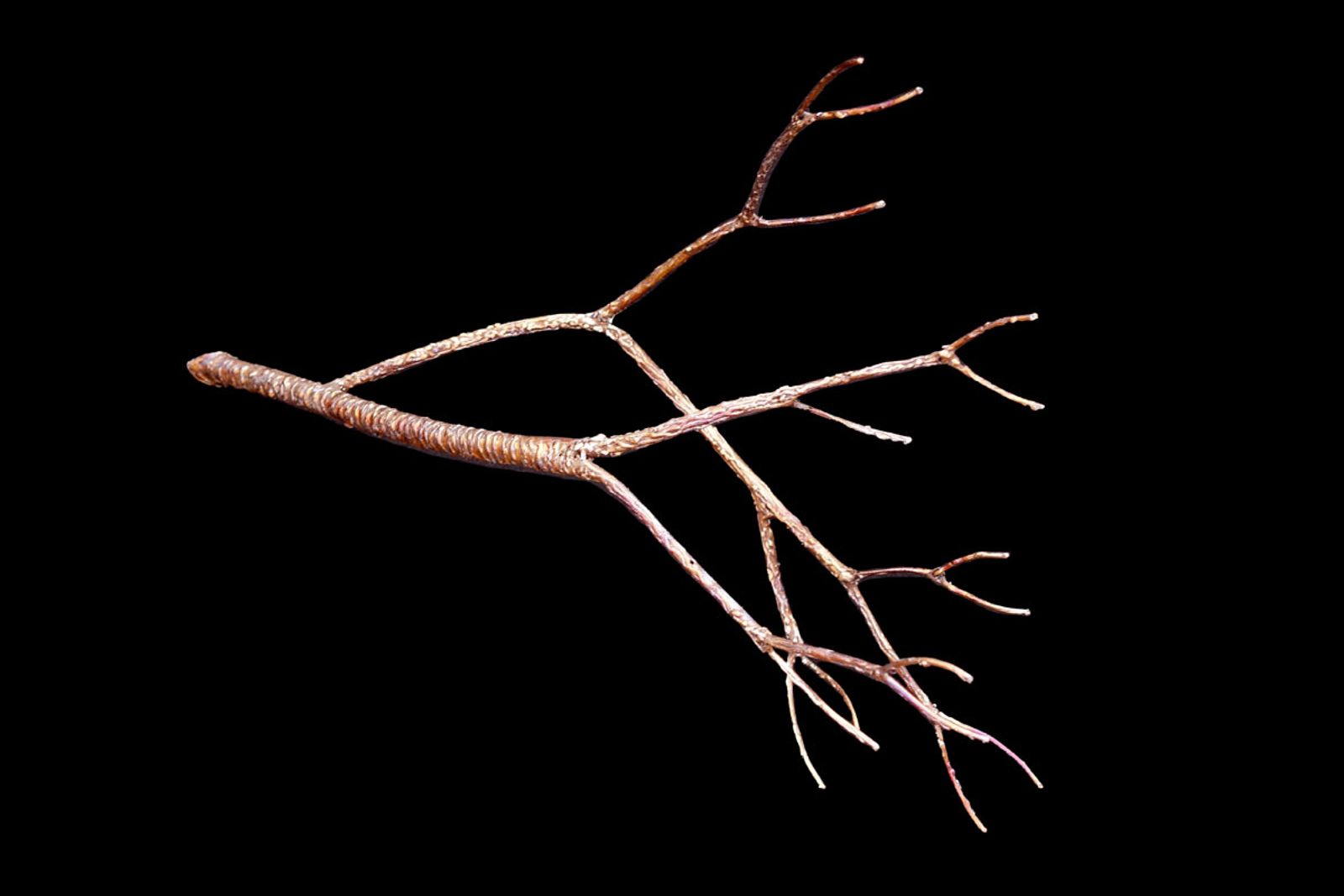 Stainless steel tree branch for red tailed hawk sculpture to land on!