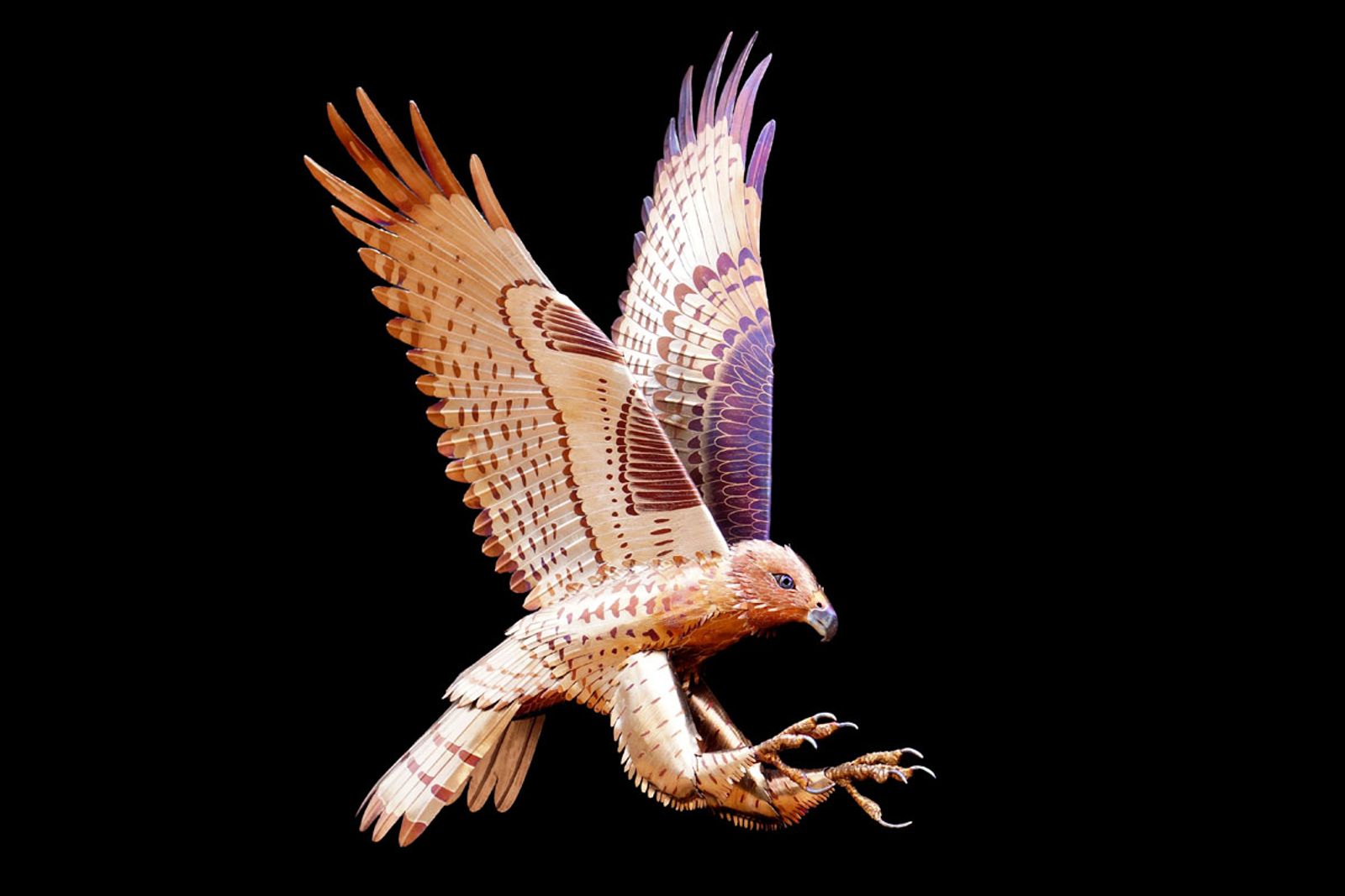 Metal red tailed hawk sculpture angled
