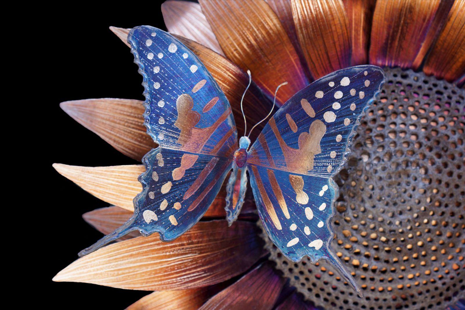 Super close up of butterfly on sunflower