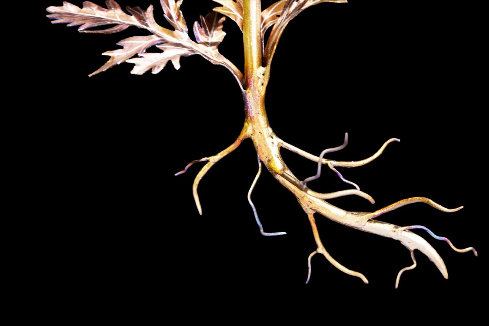 Root system of stainless steel poppy sculpture, hand-shaped and flame-finished to appear freshly pulled from the earth.