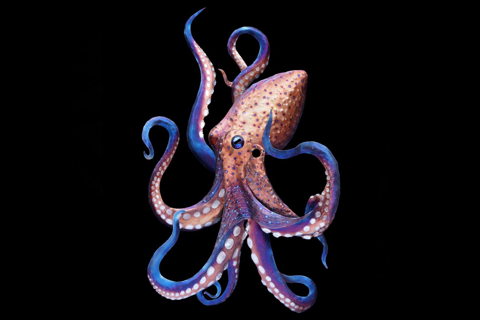 Metal Octopus Sculpture by Aiden Dale