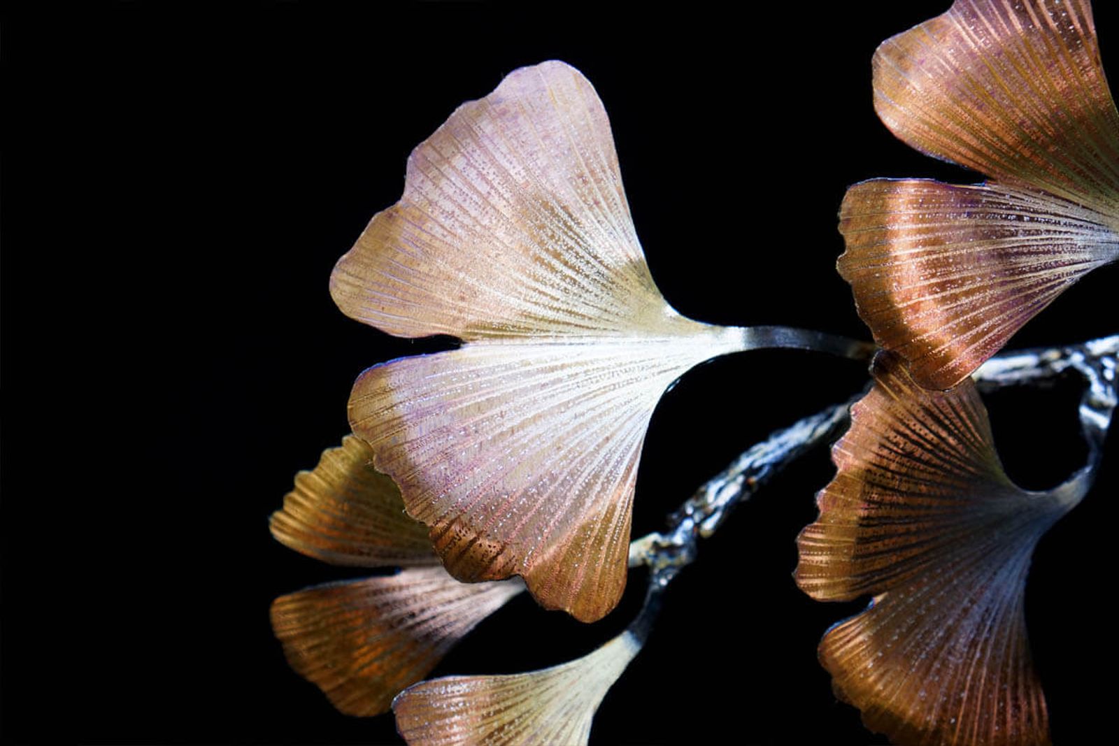 Closeup of ginkgo biloba sculpture leaf