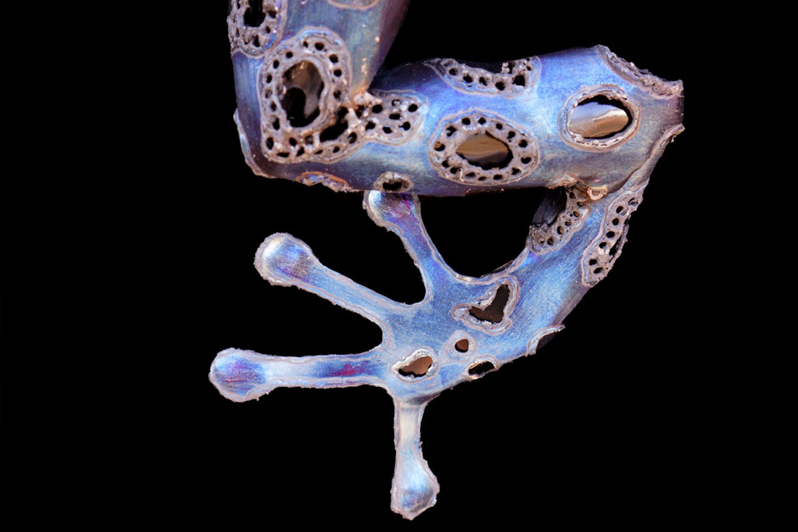 Close up of metal poison dart frog leg