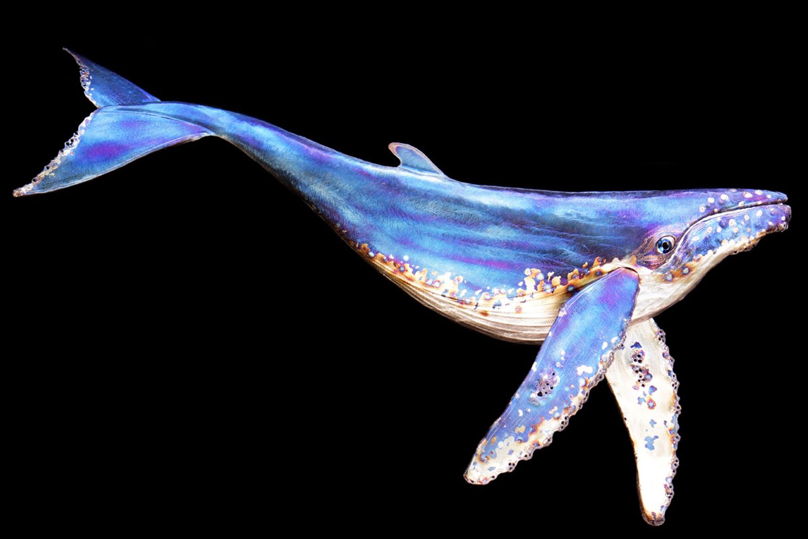 Whale Sculpture by Aiden Dale