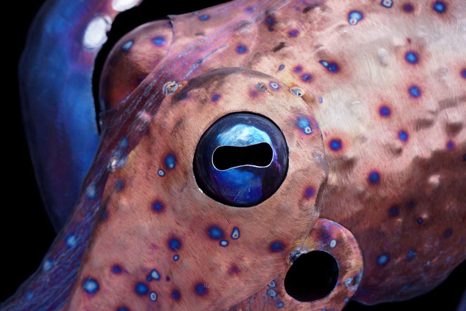 Super close-up of octopus eye in stainless steel, mirror-polished for lifelike wet detail.