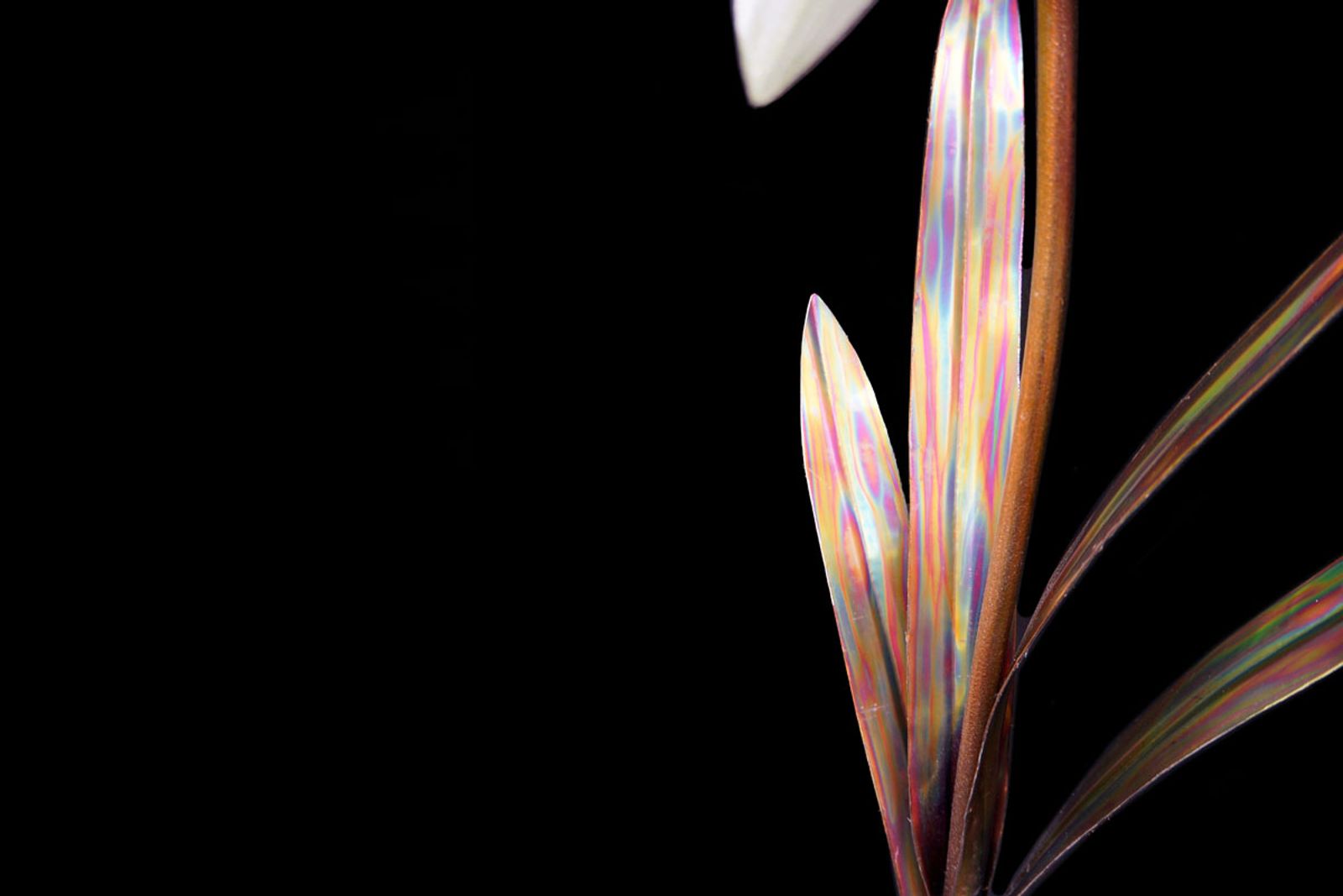 Leaf detail of stainless steel daffodil sculpture, with torch-colored greens and golds and bead-rolled center vein for natural texture.