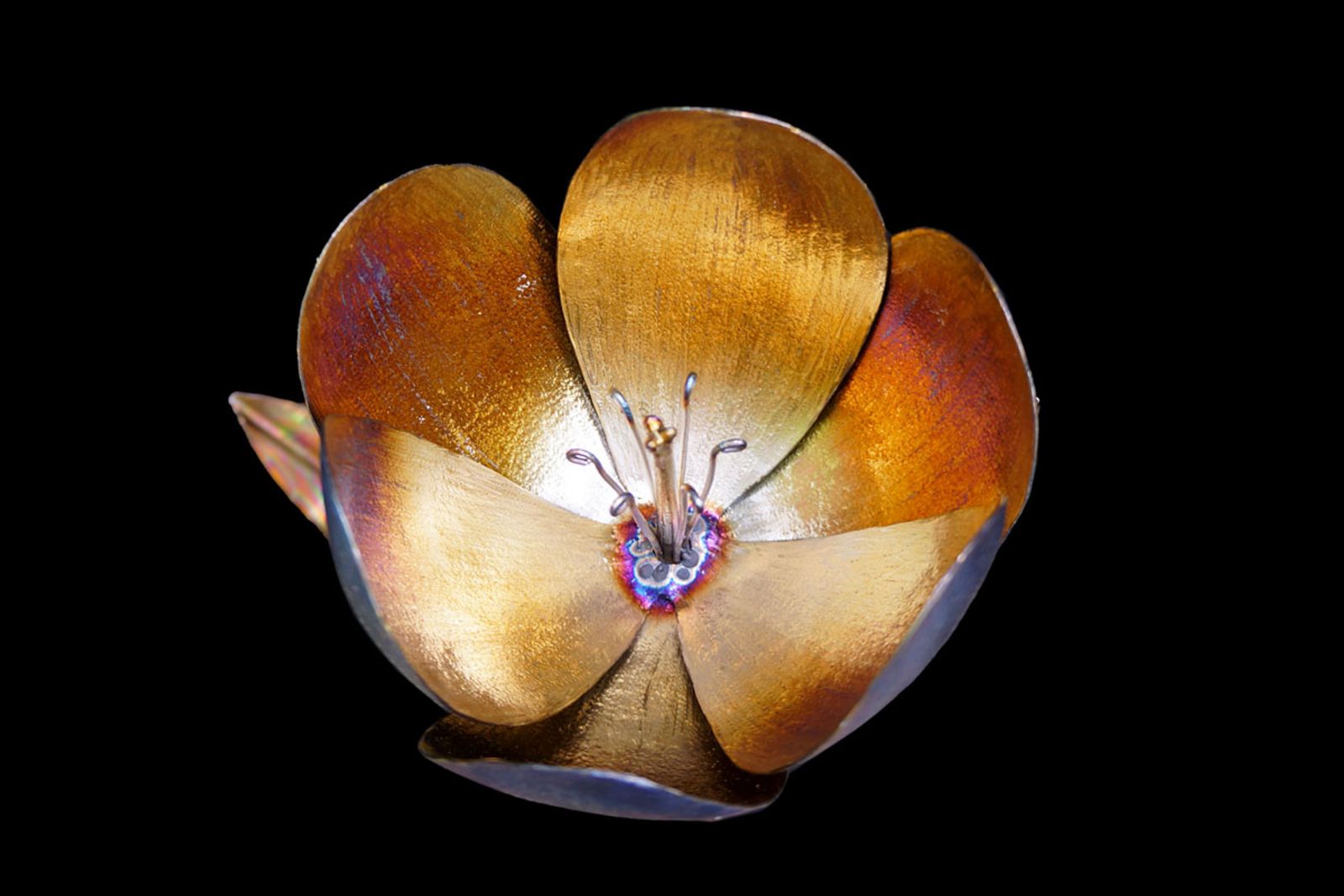 Overhead close-up of tulip petals revealing glowing golden center with hand-bent pistil and stamen in stainless steel.