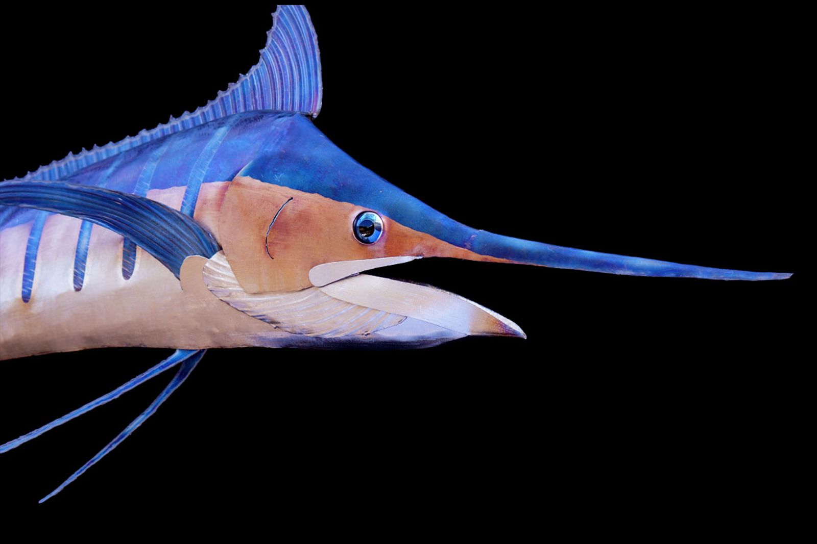 Close up of stainless steel marlin head