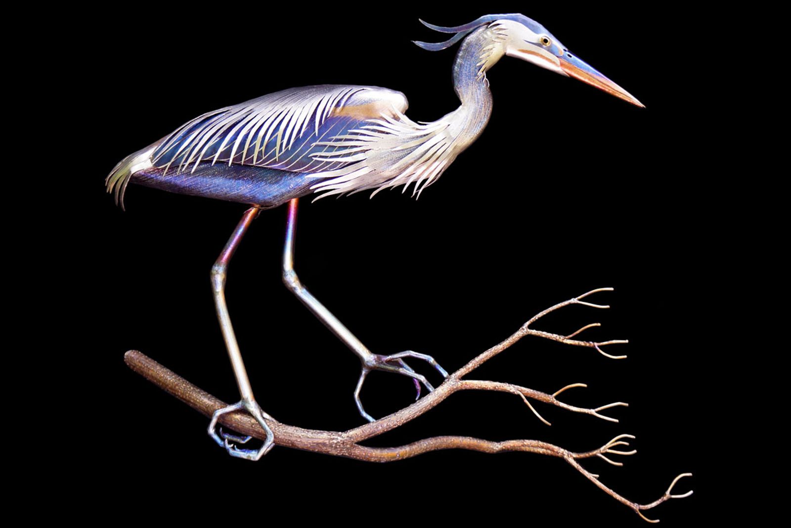 Great Blue Heron Sculpture by Aiden Dale