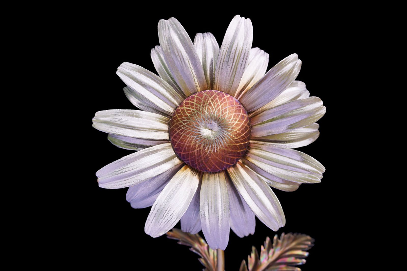 Detailed view of stainless steel daisy bloom with silver petals and hand-ground golden seed center glowing from torch patina.
