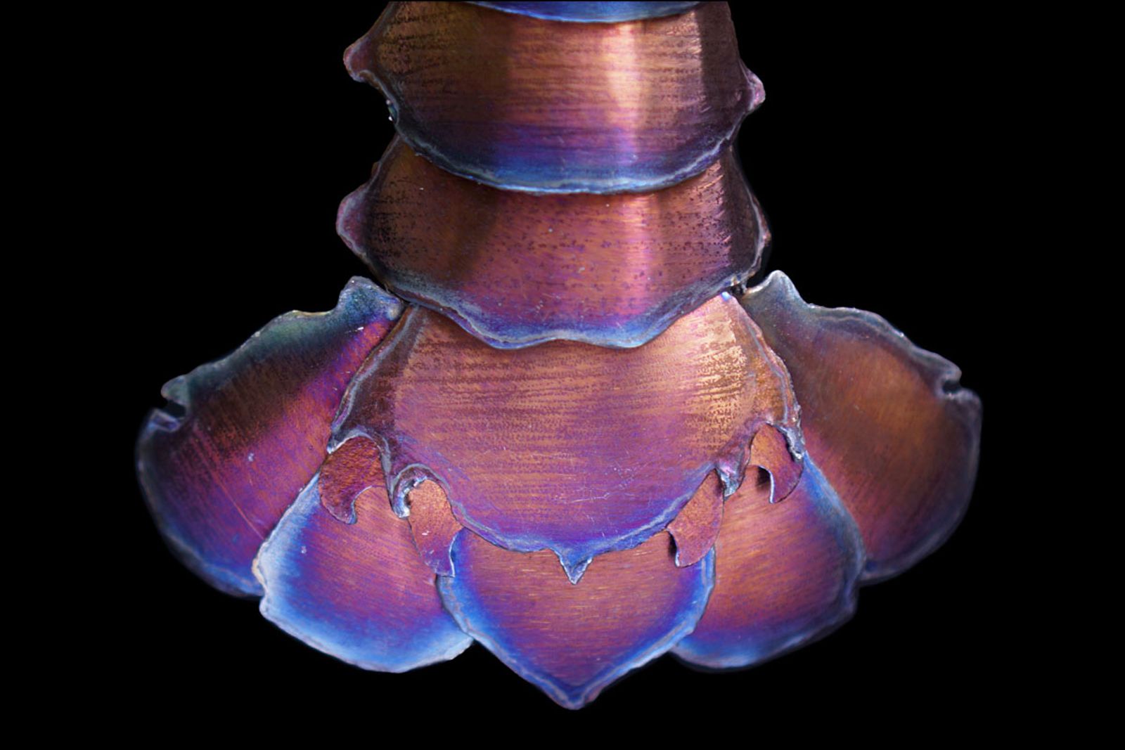 Closeup of red lobster metal sculpture's tail.