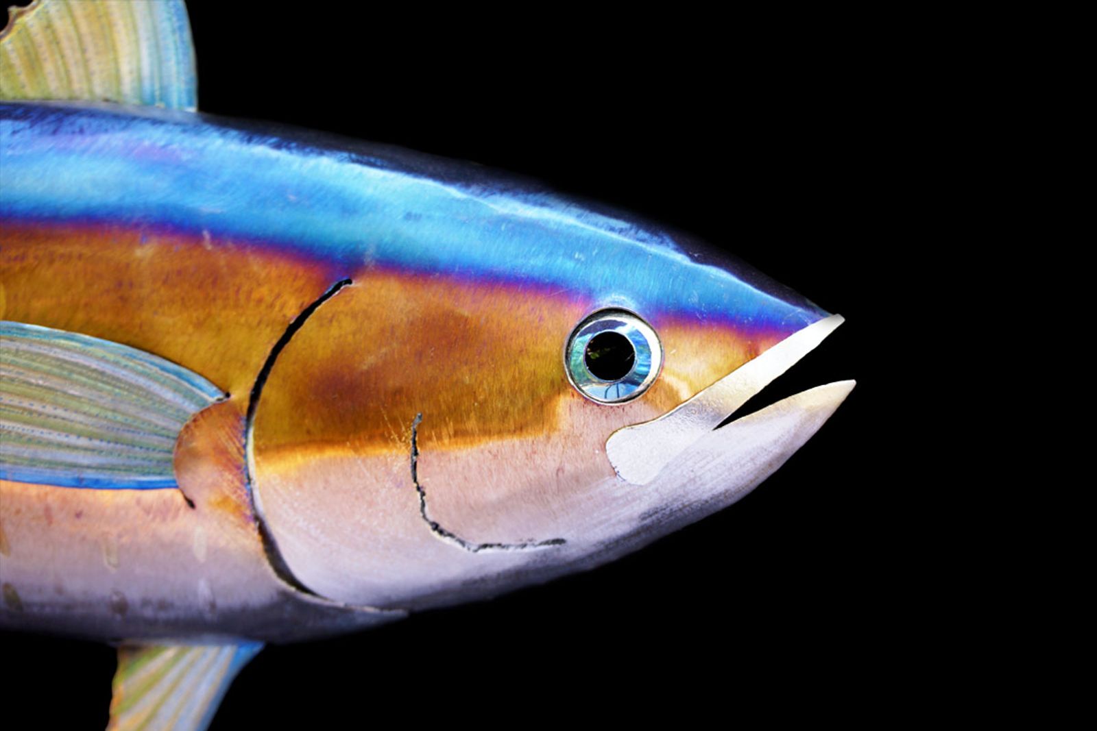 Closeup of yellowfin tuna sculpture's eye.