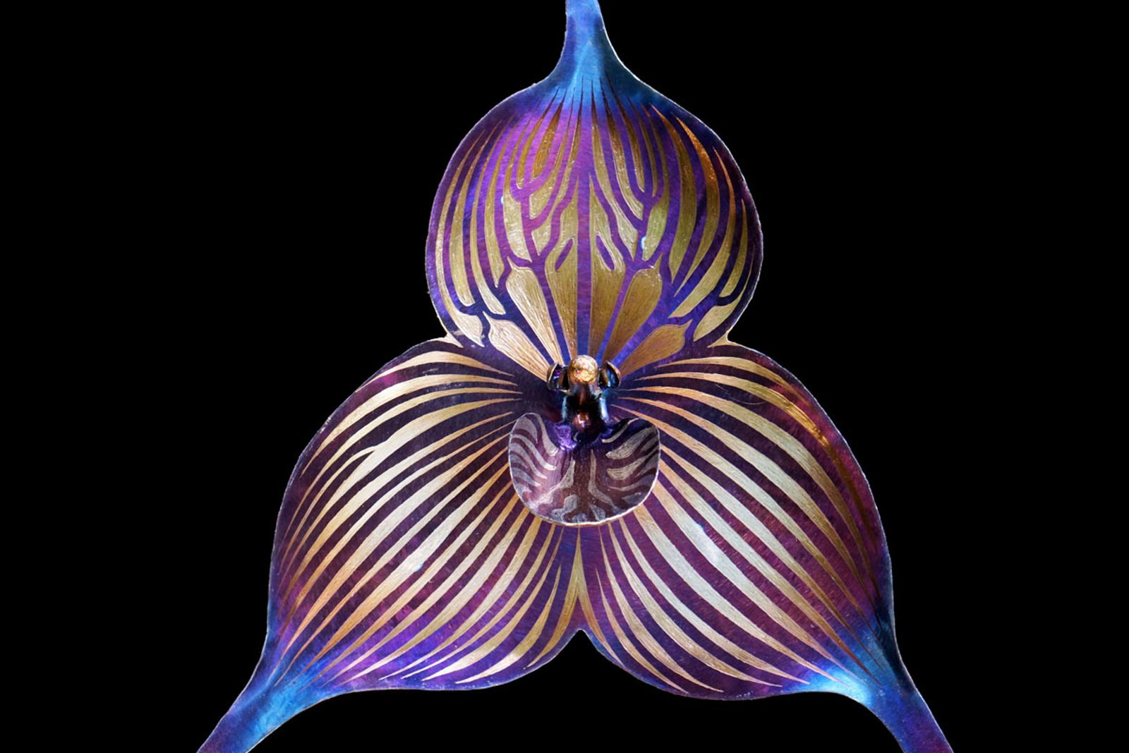 Dracula orchid metal sculpture closeup.