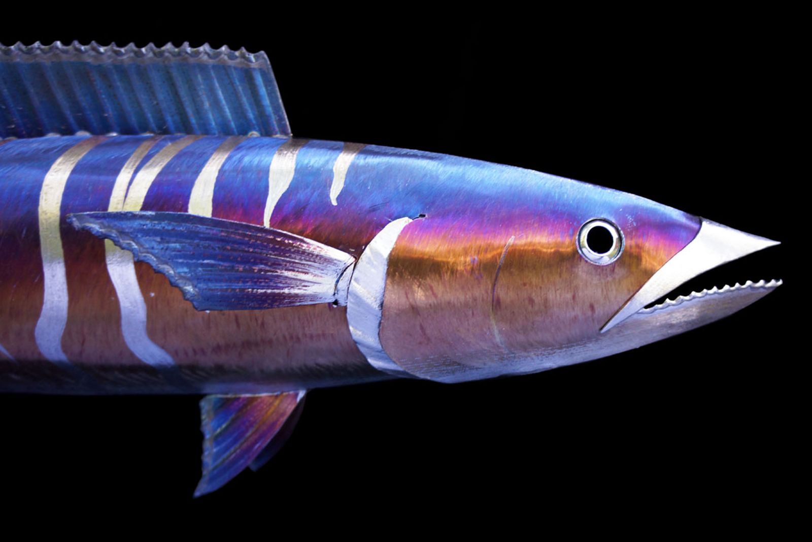 Close-up of stainless steel wahoo sculpture head with sharp hand-ground teeth, torch patina, and detailed grinding texture.