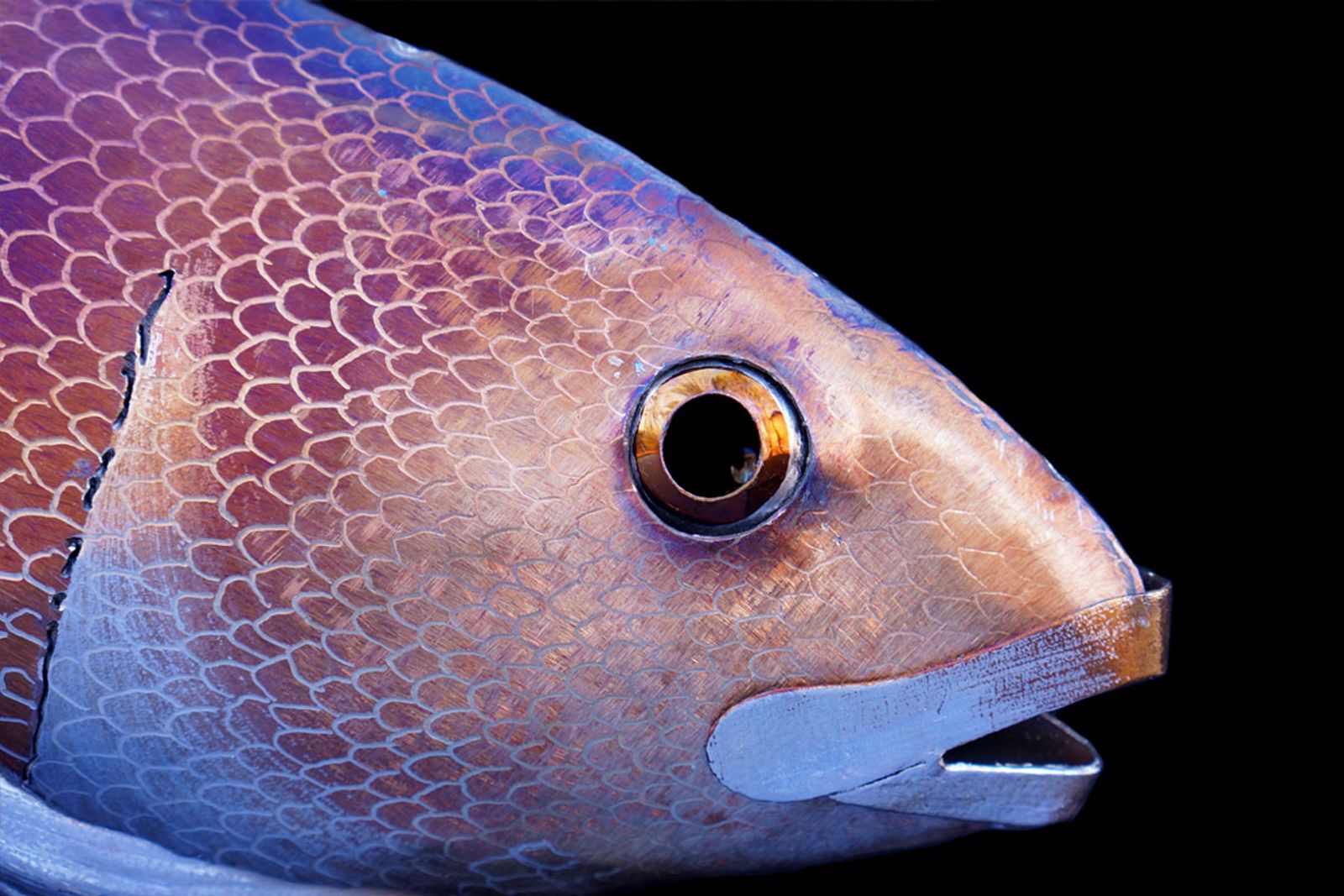 Close up of metal red drum eye