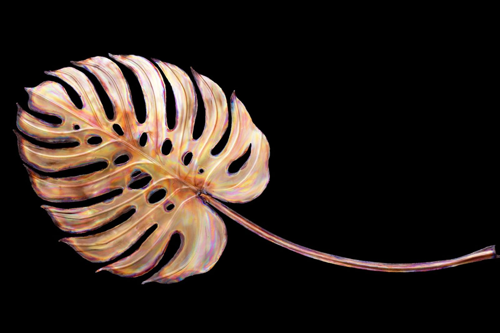 Single stainless monstera leaf sculpture