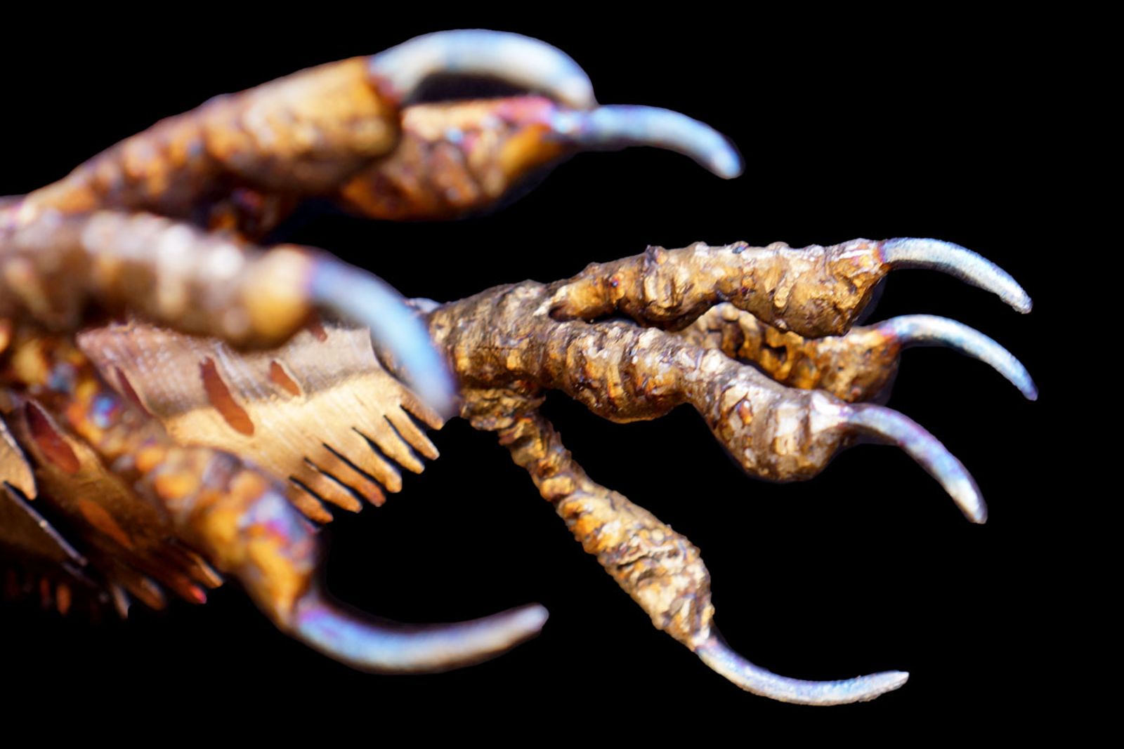 Close up of metal red tailed hawk sculpture's talons