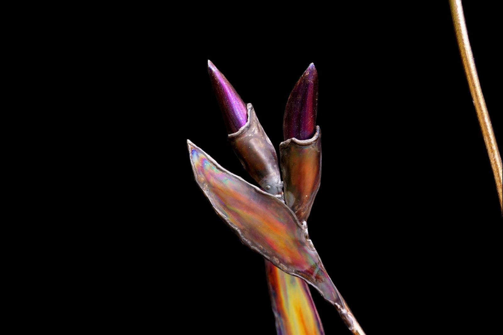 Iris sculpture flower bud close up