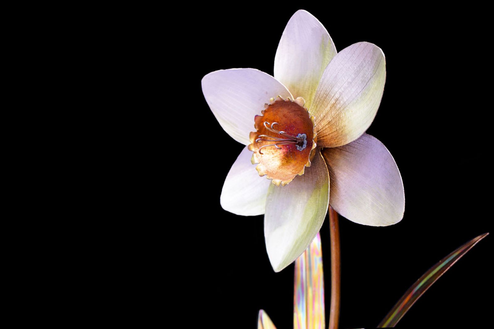 Angled close-up of the stainless steel daffodil, highlighting depth of petals and torch-painted golden center.
