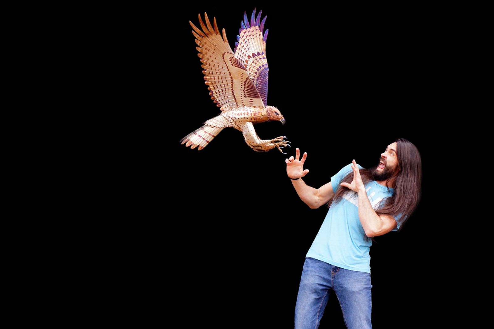Artist Aiden Dale startled by metal red tailed hawk sculpture