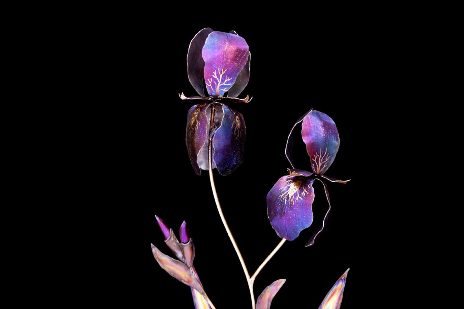 Stainless iris sculpture bloom close up