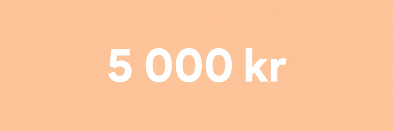 Max 5 000 kr per person