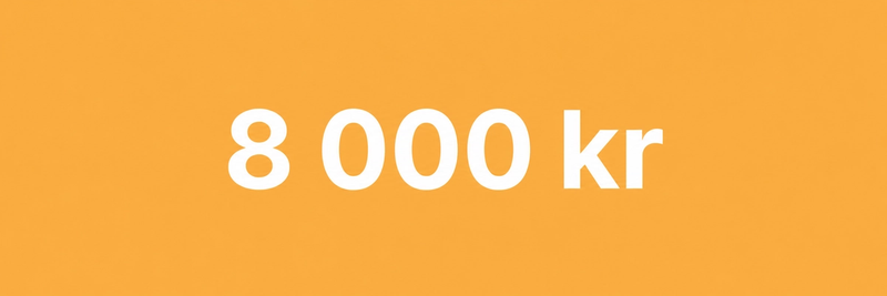 Max 8 000 kr per person