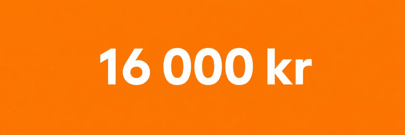 Max 16 000 kr per person