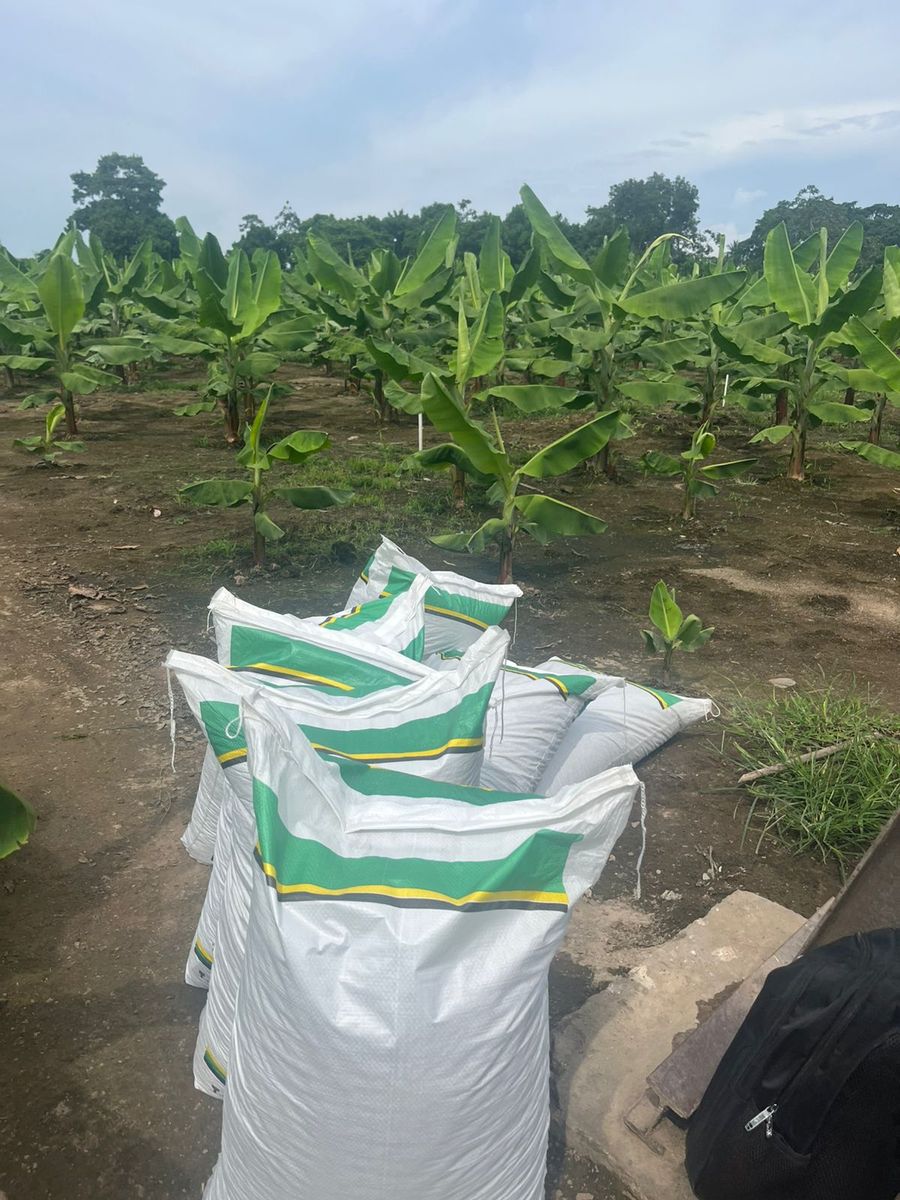 Producto de aliado comercial en campo