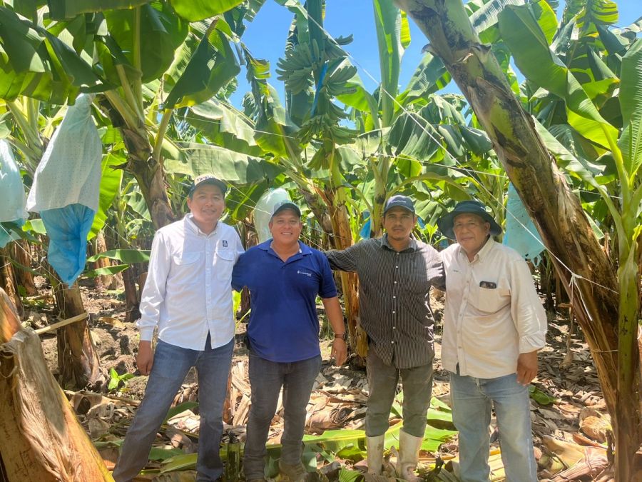 Presencia de ingeniero de Mercagri en campo con clientes