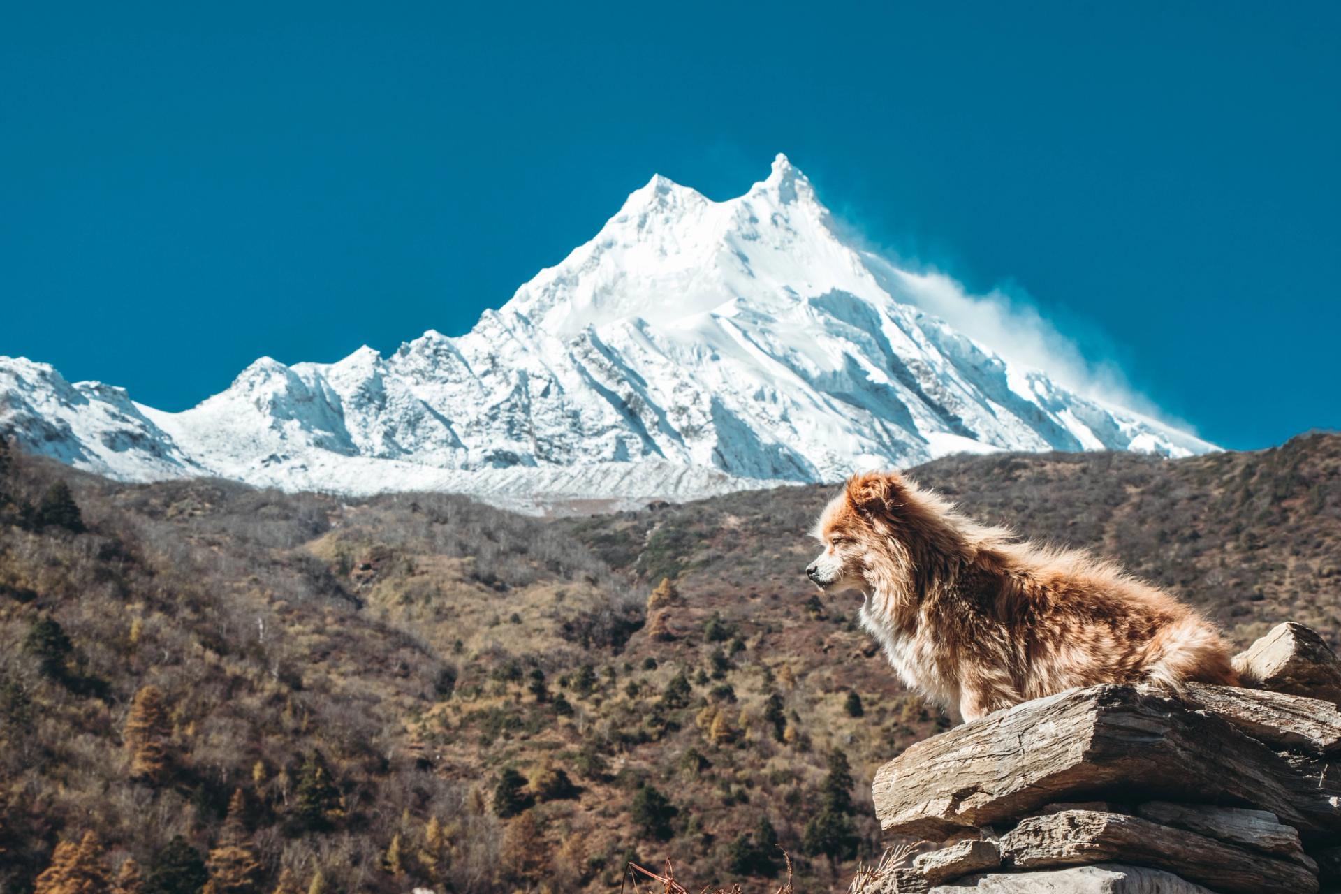 Manaslu closing