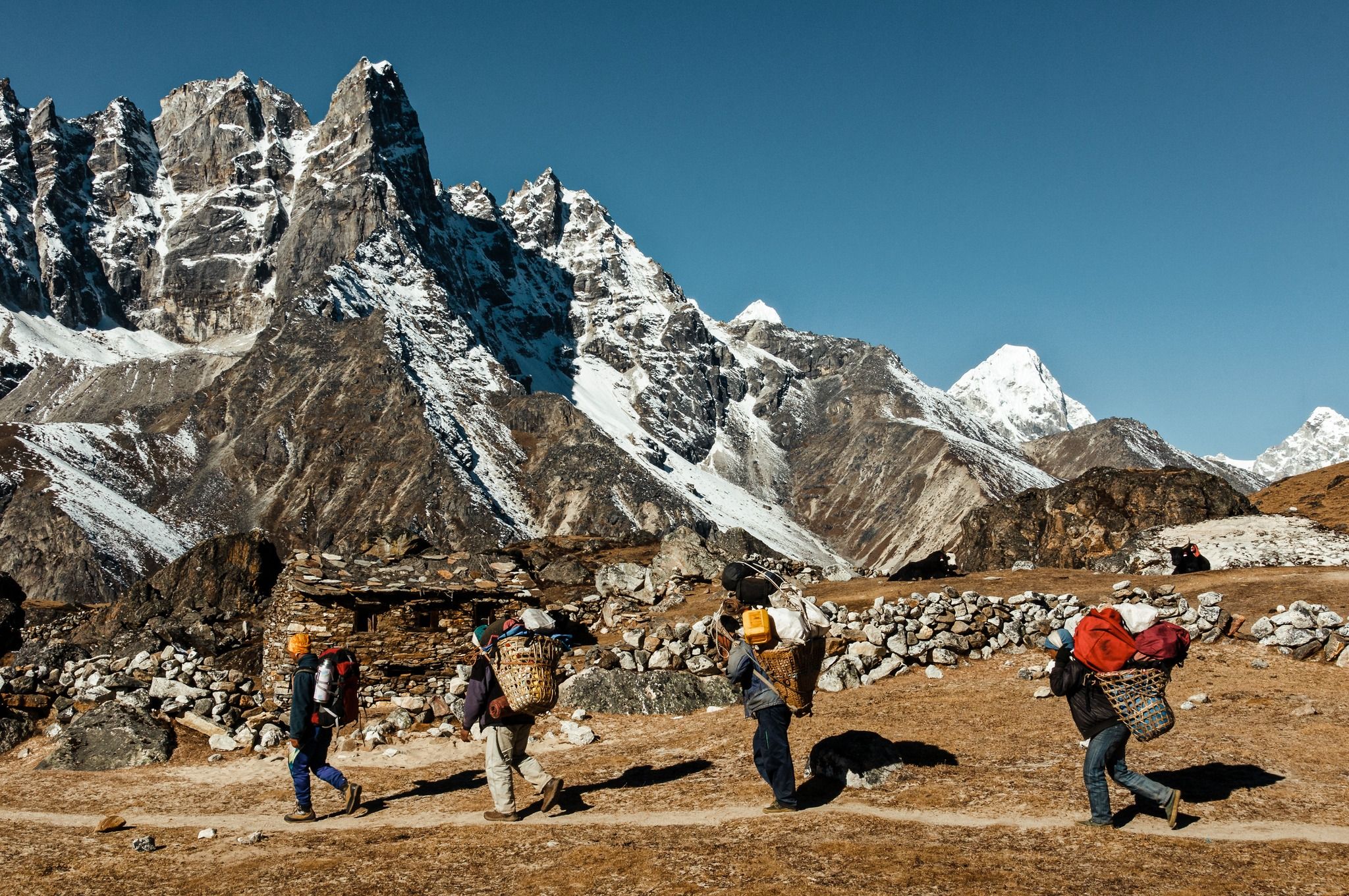 The Exploration Record 