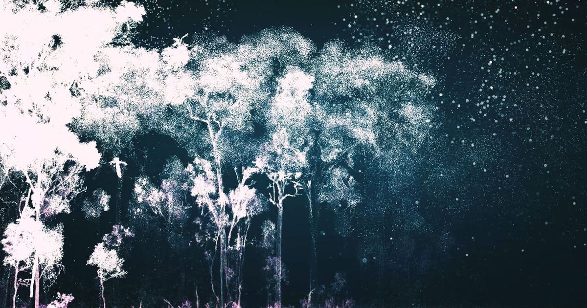 Ghost Inatural Ghost Trees: An immersive, audiovisual voyage through nature | NFSA