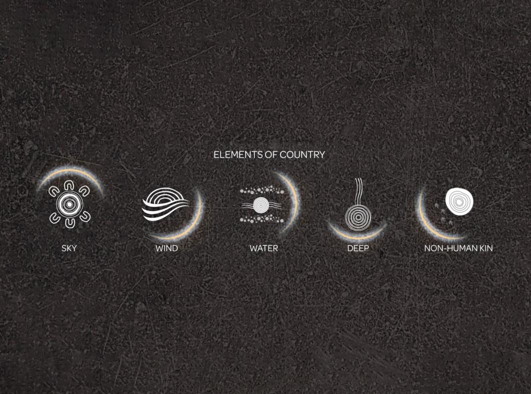 Graphic featuring symbols for the elements of country - sky, wind, water, deep, non-human kind