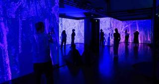 Patrons in the Ghost Trees exhibition at the NFSA. They are standing in a darkened gallery surrounded by blue and pink projections of forest trees.